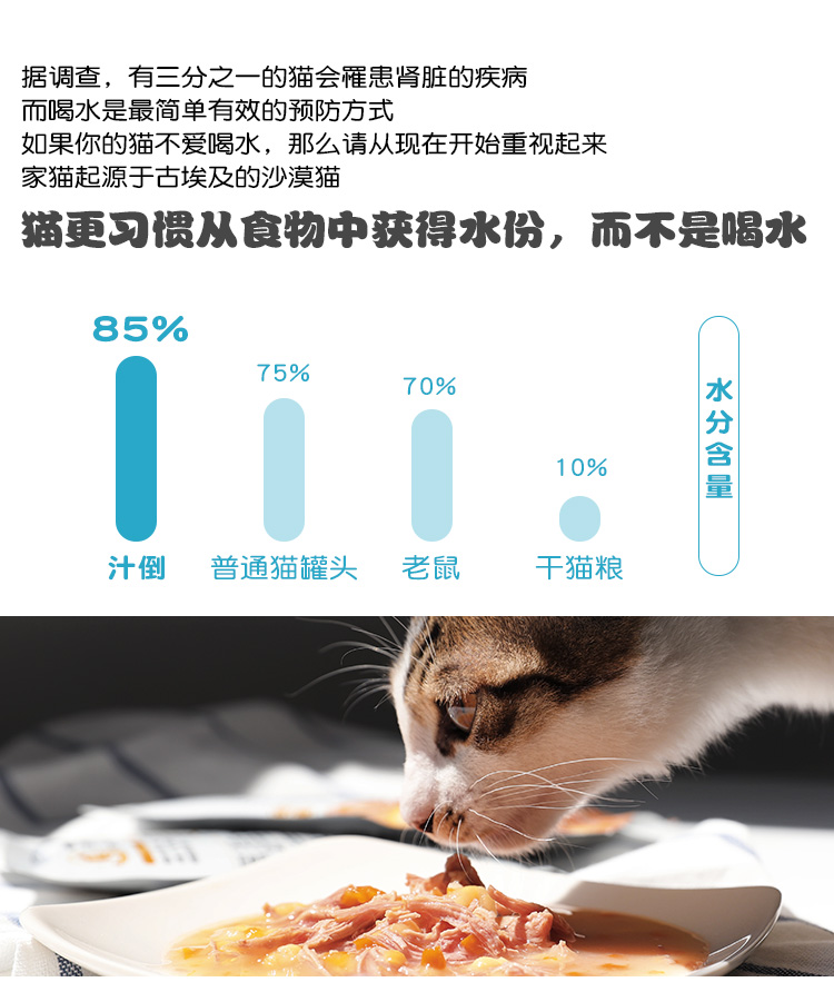 Cat Daddy Juice Pour Thực phẩm dinh dưỡng Fatten Bột Thực phẩm ướt Thịt bò Hương vị tươi Đóng hộp Mèo Snacks 10 Gói Túi Hạt Cateye cho mèo có tốt không