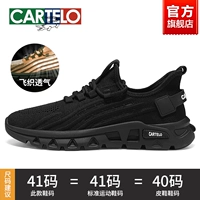 Дышащая ткань Black-Flying-9335