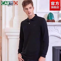 Футболка polo, хлопковый лонгслив, подходит для весны и осени, оверсайз