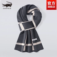 XR2209-серый верблюд