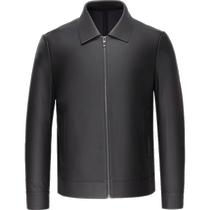 Cardile crocodile mens leather jacket genuine leather new lapel executive jacket business short middle-aged dad outfit