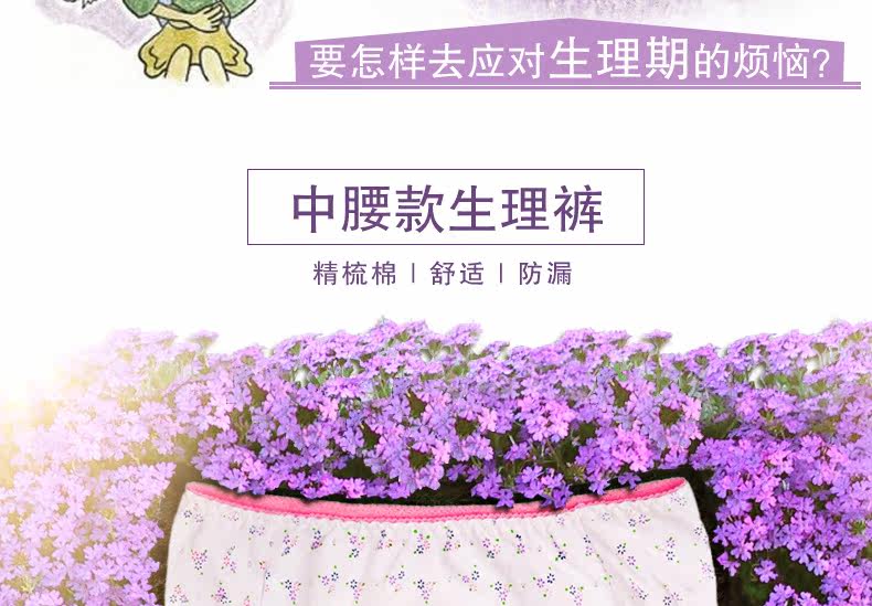 Slip jeunesse LADYFORM 121A3003 en coton - Ref 640829 Image 7