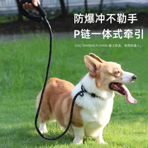 Dog Traction Rope Explosion-proof Dog P-chain P-rope small medium-sized large-sized Cake Funds Walk Dog Rope Chain