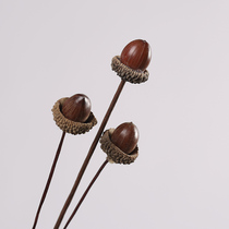 (Acorn single branch)Dried flower fruit shell natural drying cute acorn art dried flower dried fruit shooting props