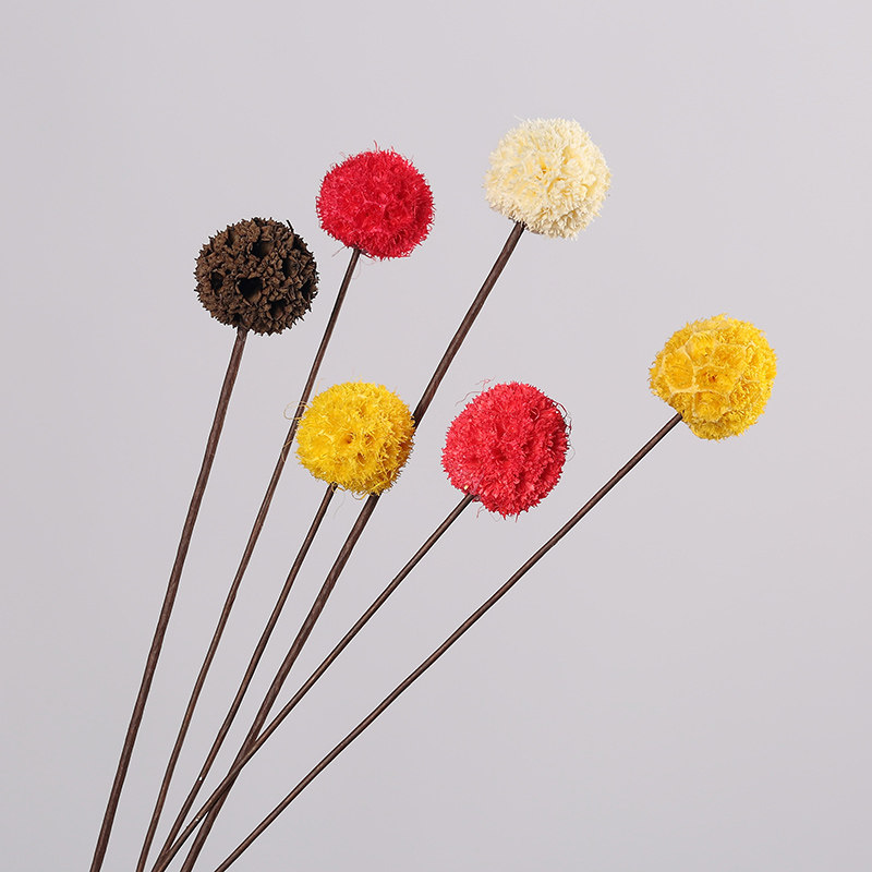 (Passepartout)Dried flower fruit shell bouquet art natural dried fruit Home decoration art dried flower shooting props