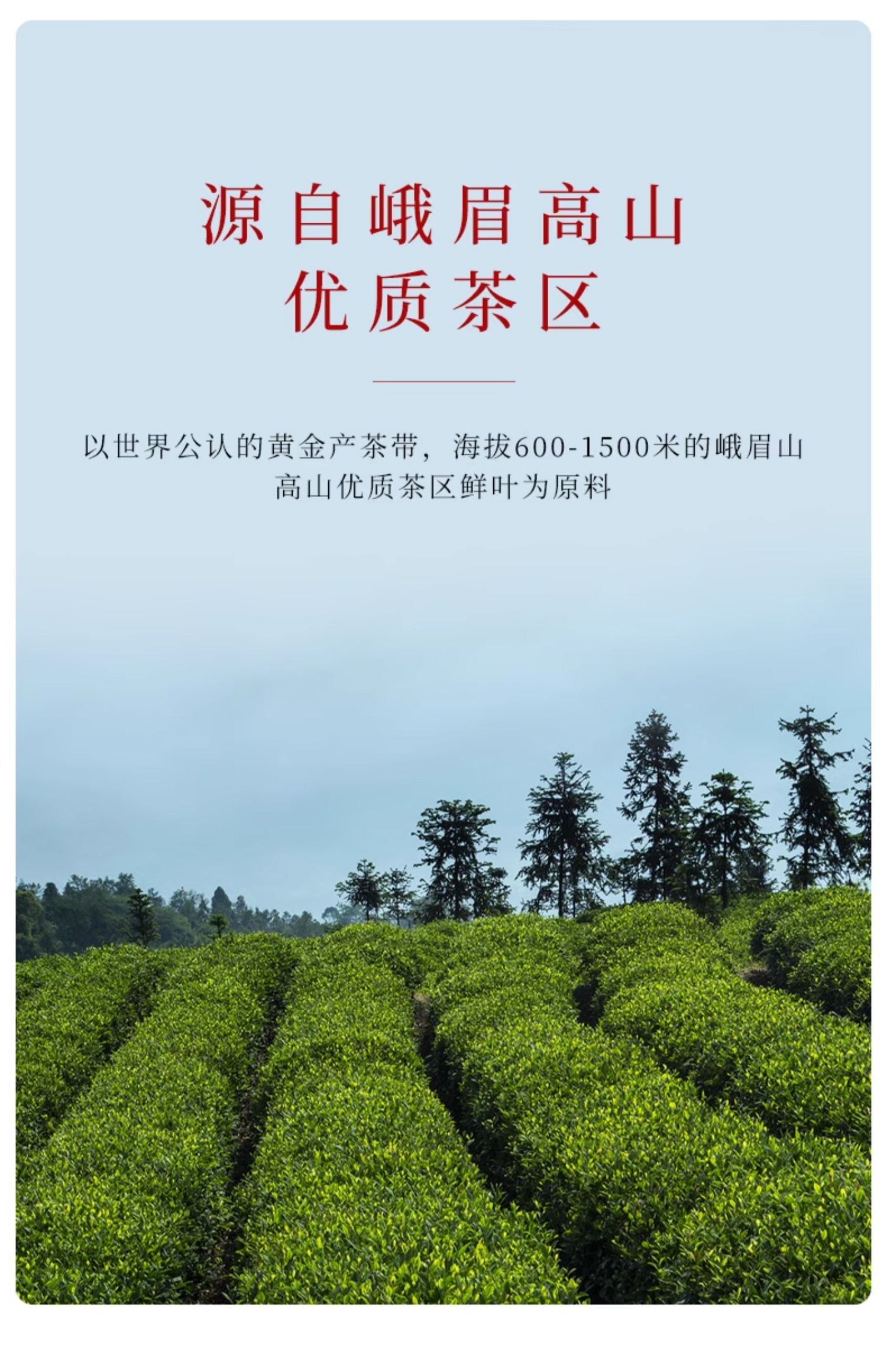 【中国直邮】 竹叶青茶叶 万紫千红系列 峨眉高山红茶特级(品味) 90g/盒