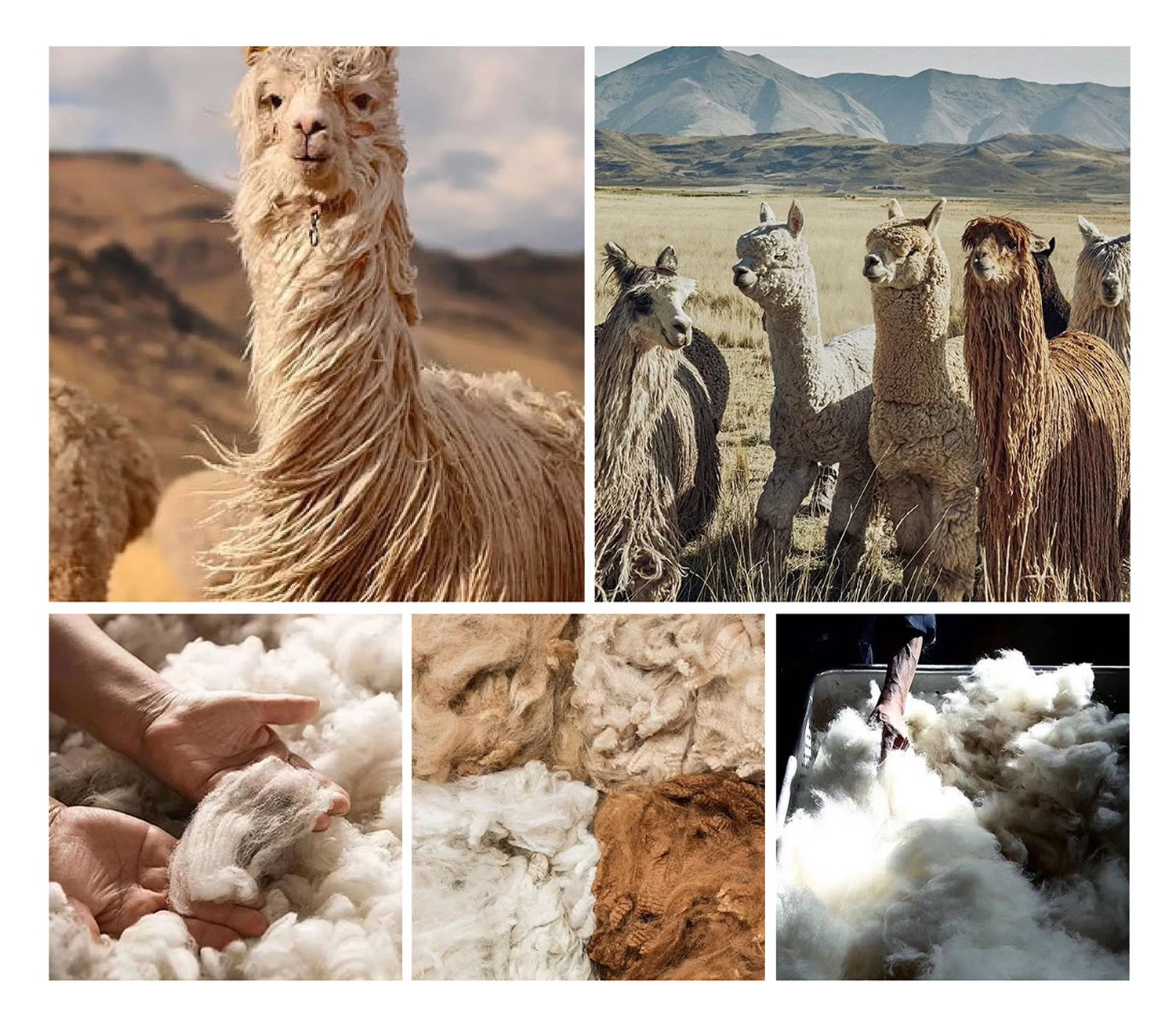 3面料信息_22 .jpg