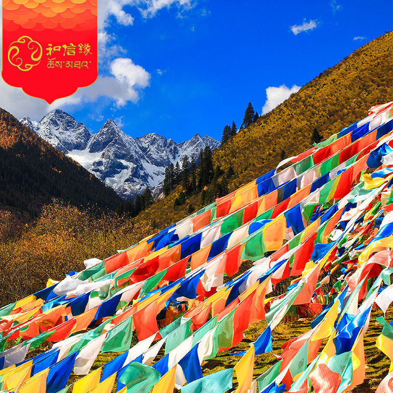 New Tibetan Wordless Scripted 7 m 1 Article 20 Face Five Color Flags of Decorative Items National Wind Hada Promotion