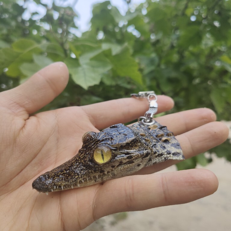 Personalized Keychain, Crocodile Head Car Keychain, Accessories, Birthday Gift, Crocodile Specimen, Pendant