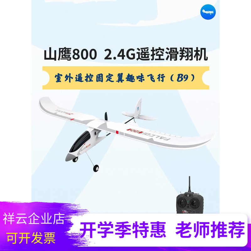 Mountain Eagle 800 2.4g Remote Control Glider Flying to Beijing Outdoor Remote Control Fixed-Wing Fun Flight