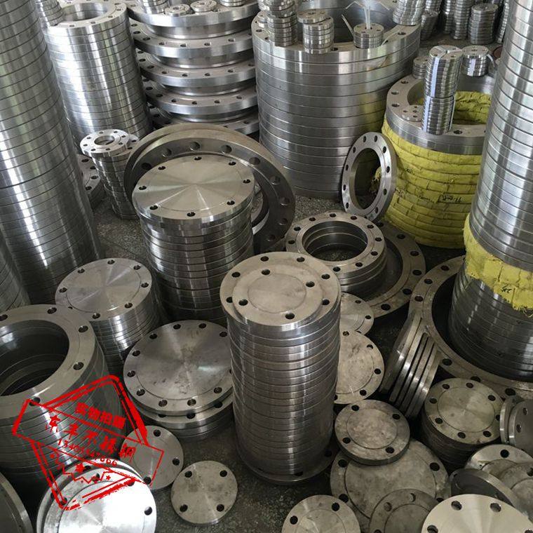 304 316L310S stainless steel shaped flange forgings flat welding high neck non-standard flange finishing