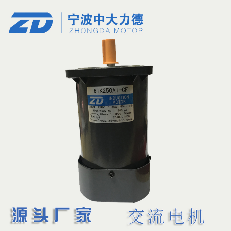 220V 220V 90W 120W 120W 250W 250W CUHK AC Motor 5IK 250A1-CF speed ratio optional