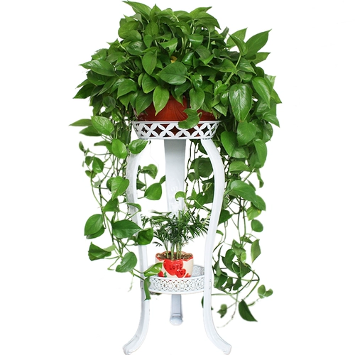 Цветочная рама в европейском стиле Железное артериальное многоуровневое помещение на полу -половине полки зеленого укропа гостиная гостиная