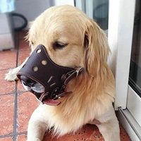 Темно -коричневый новый стиль