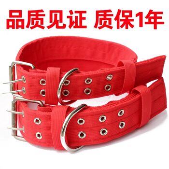 Dog Collar Widened Double-Row Medium-Sized Dog Collar Dog Leash Large Dog Small Dog Walking Leash Thickened Dog Collar