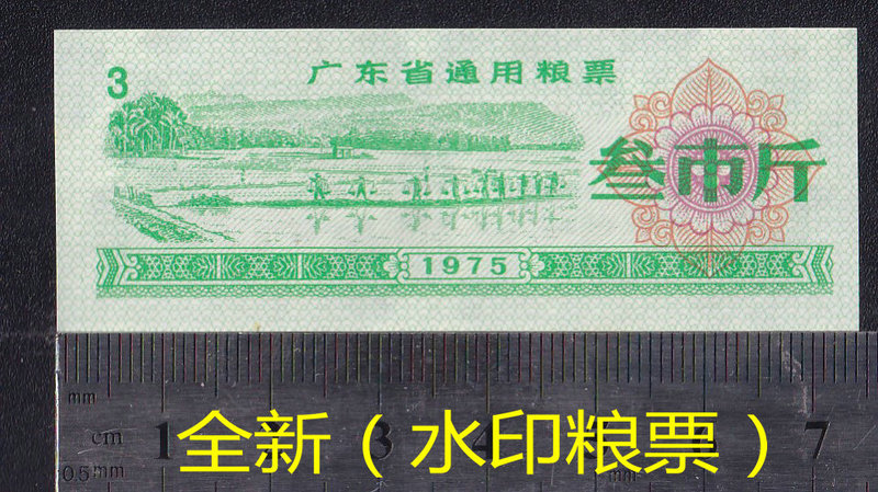 1975 Guangdong Province General Food Ration Card for Three Kilograms—Guaranteed Authenticity
