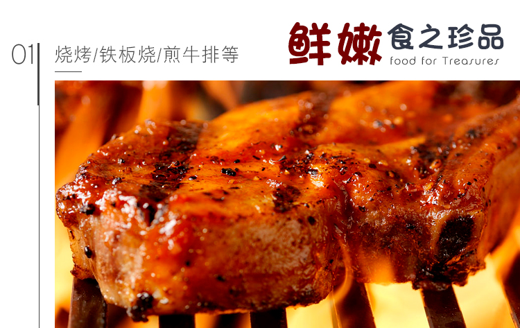 嫩肉粉商用家用调味料食用烧烤专用