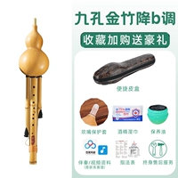 Девять -дыра, нативно -джинцжу, капает B тон