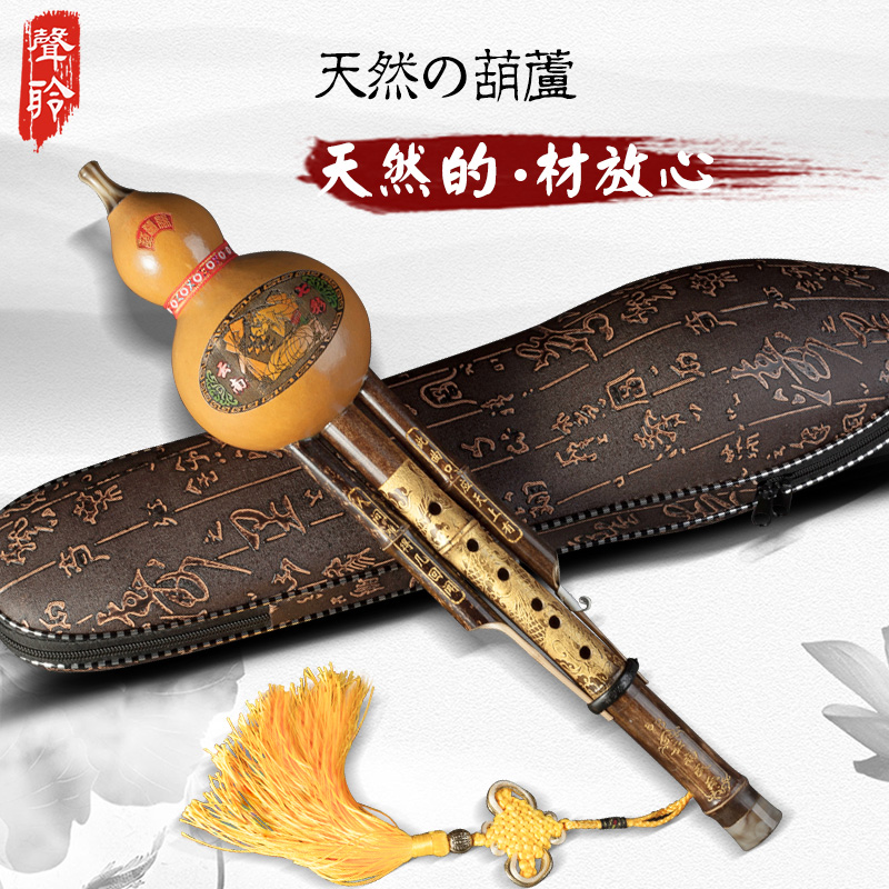 Gourd silk musical instrument beginner beginner primary school student C-tone adult self-study B-tone double-tone professional performance type Gourd silk