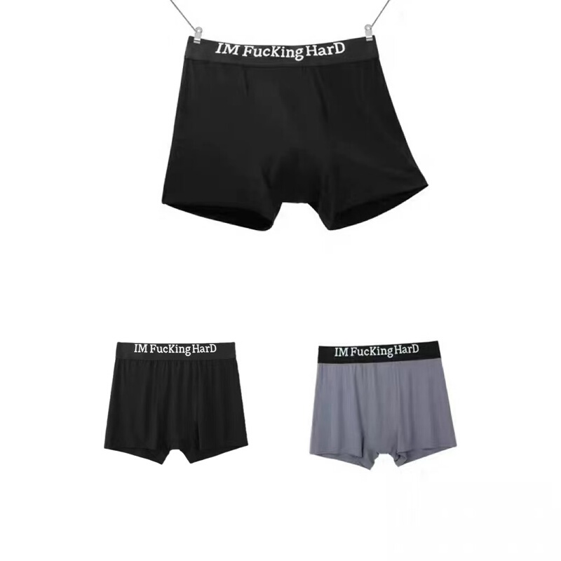 Cgyyds “Im Fucking Hard” Austrian Imported Recycled Fiber Ice Silk Boxer Briefs for Men