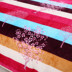 Cộng với chăn mùa đông dày ấm đôi flannel ngắn sang trọng sinh viên duy nhất fa nhung san hô chăn chăn lông vũ everon Quilt Covers