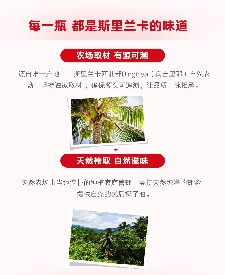 奥乐齐 斯里兰卡进口 PURE VITA 食用椰子油 324ml*2瓶 可护发护肤 图2