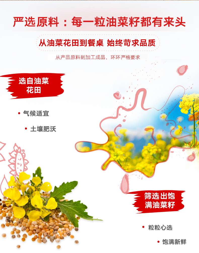 奥乐齐 维达谷 油菜籽油 5L 物理压榨充氮保鲜 图2