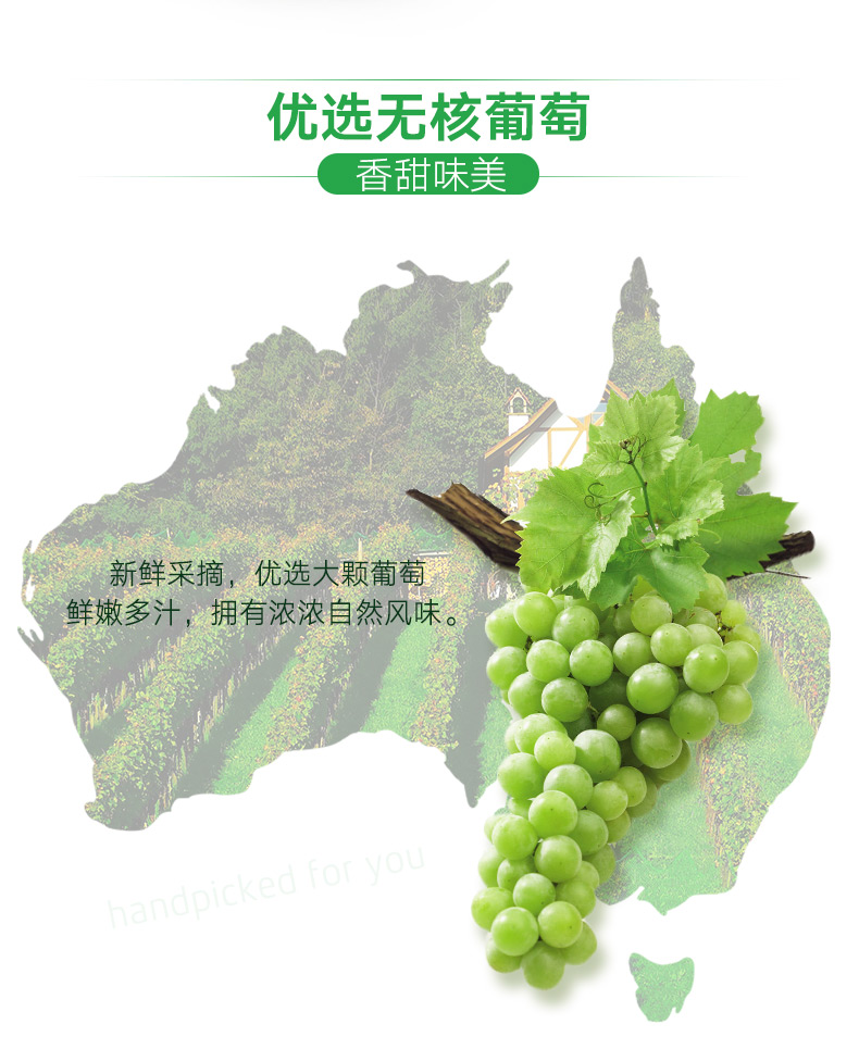 澳洲进口 奥乐齐ALDI 无核葡萄干 2斤装 图2