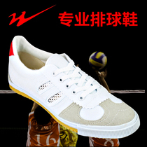 Double Star Volleyball Shoes Mens Professional Five Meters Three Training Shoes Non-slip Morning Practice Tug-of-war Body Test Shoes Canvas Sneakers