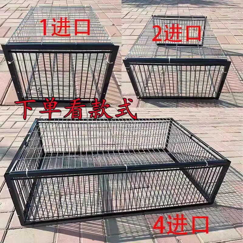 只进不出鸟笼：全自动天落捕鸽神器，户外抓收鸽子的秘密武器！-宠物鸡-淘宝好物网