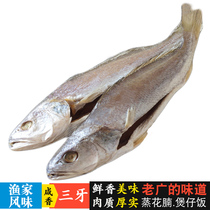 Thin salt salty fragrant optional 2 pieces of three-tooth fish fishermen air-dried small yellow croaker small salted fish dry second peeling fish