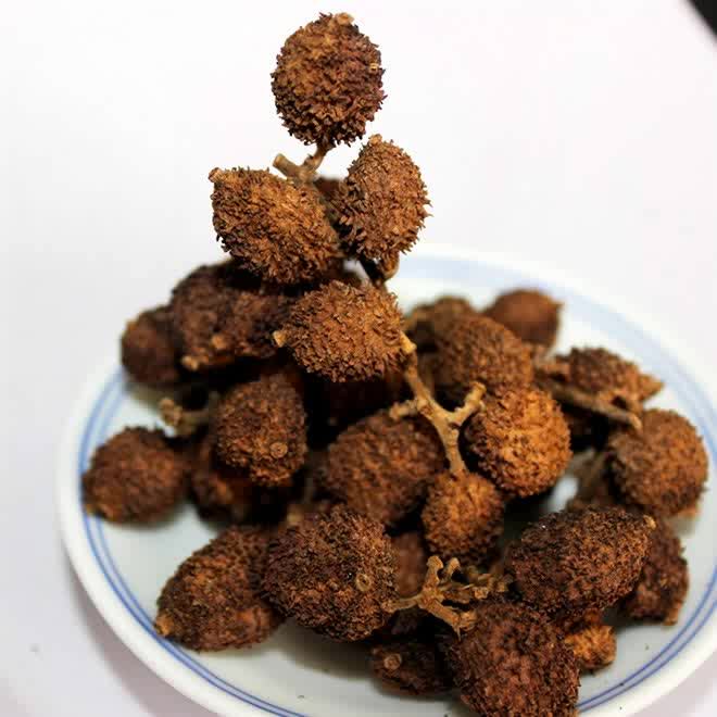 春砂仁之家