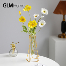 Nordic ins transparent glass vase swing piece creative living room table face dry flower floral floral home soft decorations