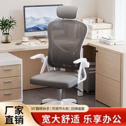 Computer Chair Dormitory Comfortable Long Sitting Student Backrest Chair Comfortable Home Study Desk Office Seat Stool