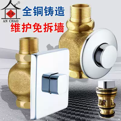 Flush valve Hand press type stool flush valve all copper concealed delay faucet