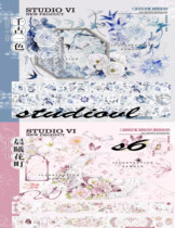 Studiovls6 Society is divided into a thousand color shells of Shell Shell