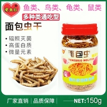 Fish-loving Red bread worm Dried Starling Wren Thrush Bird-eating hamster snack Ornamental fish Turtle worm Dried Mealworm Dried Mealworm