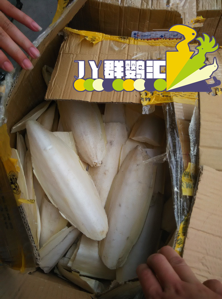 Parrot Cung cấp vật nuôi Mực đặc biệt Xương Vẹt mài Canxi Thức ăn cho chim Thức ăn bò - Chim & Chăm sóc chim Supplies long chim dep