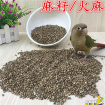 Small and medium large parrot feed Hemp Hemp hamster pigeon grain independent packaging hemp seed 150g