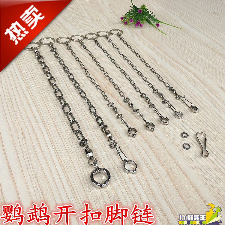Parrot foot ring, stainless steel bird chain, movable opening chain, bird out chain, foot buckle, stand anklet