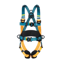 Gorm aluminum alloy five-point safety belt for high-altitude operations GM3536 full-body safety belt safety rope set
