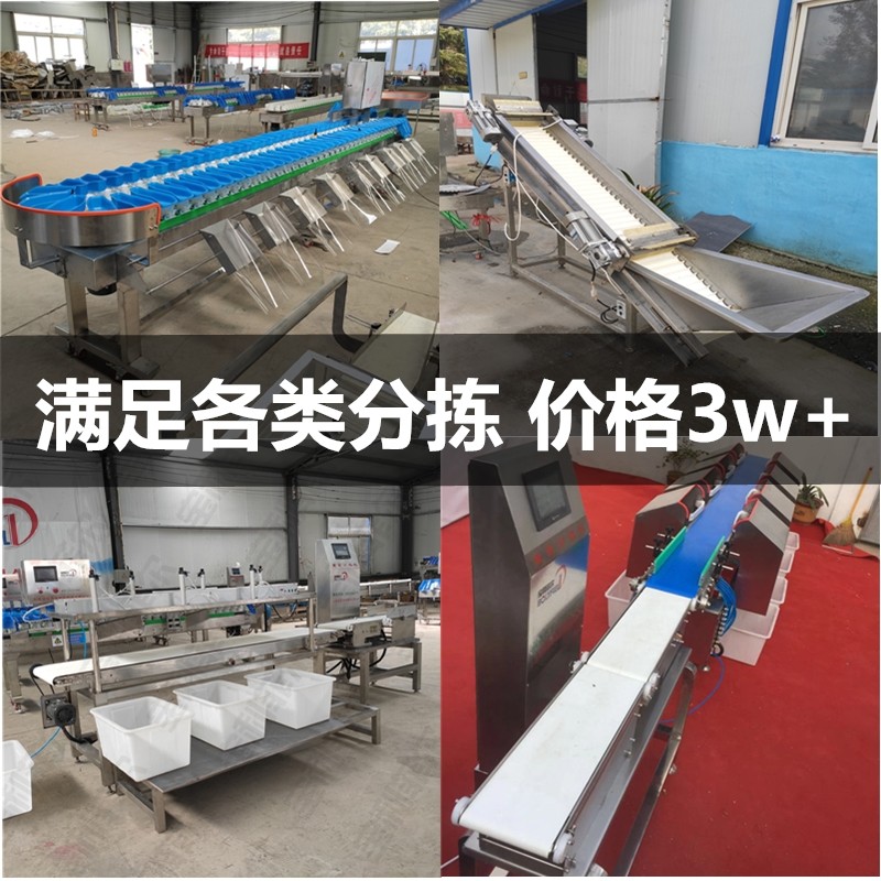 Fruit weight sorting machine size automatic weighing selection oyster sorting machine grading machine fruit sorting machine