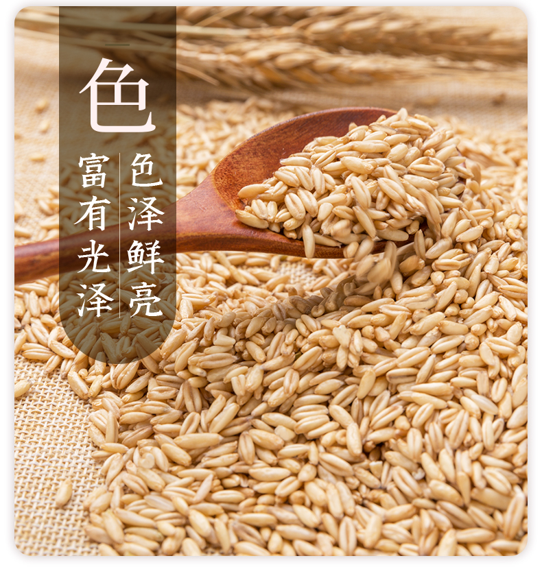 【燕之坊】燕麦仁燕麦胚芽米1kg