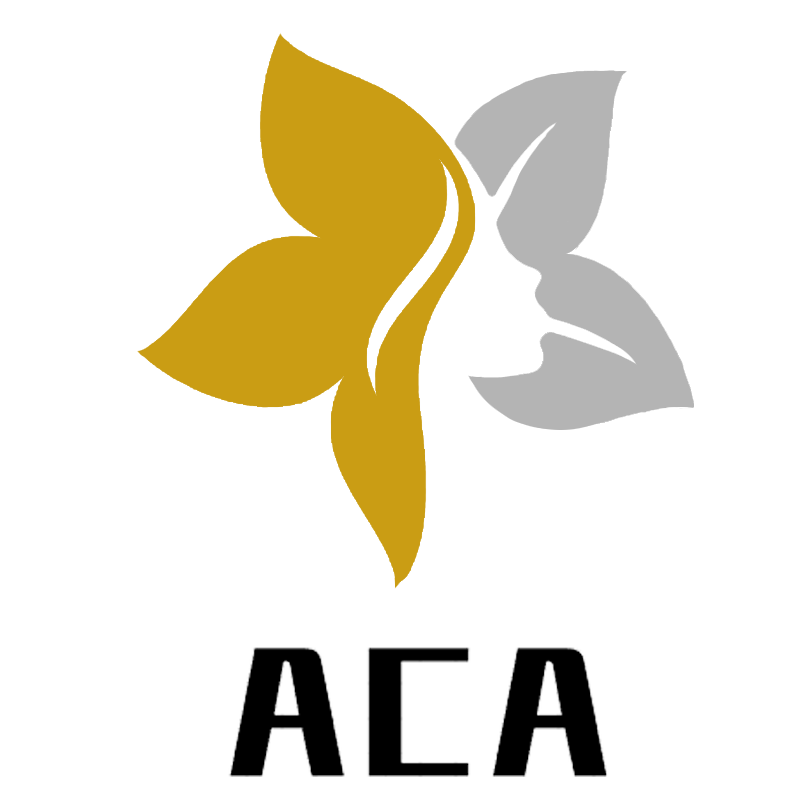 ACA饰品企业店