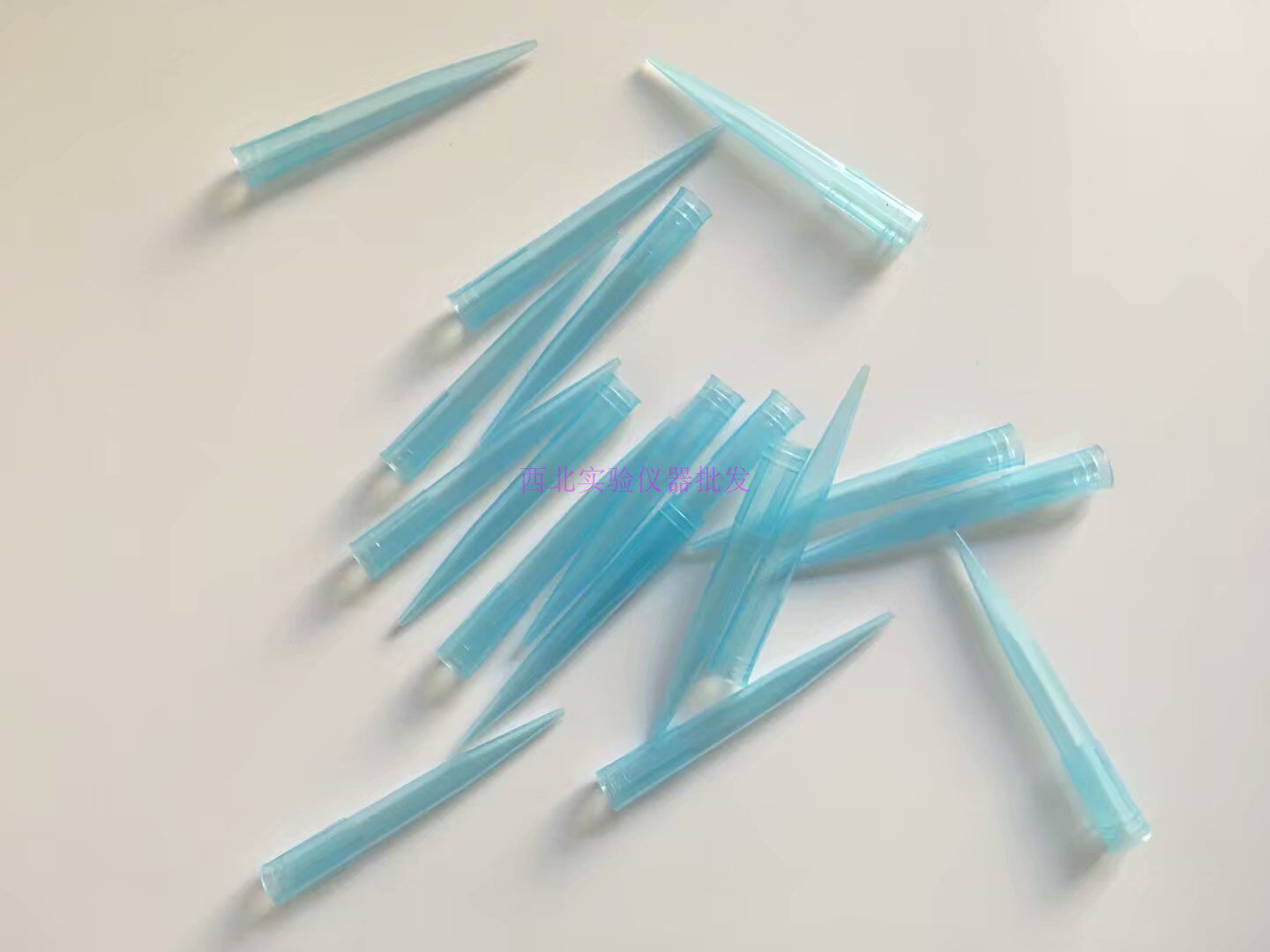 Plastic One pipette tip of the pipette tip 10 50 100 500 1000ul 5 10ml