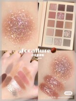 Net red popular Filuer eye shadow plate sequins matte pearly earth color travel eye shadow summer 2021 new