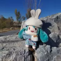 Хлопковая кукла, шапка, шарф, толстовка