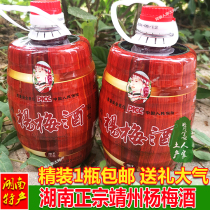Jingzhou Yangmei Wine Farmhouse Self Brewed Grain Burning Wine Barrel Loaded Xiangxi Huaihua Source Mausoleum Plum Wine Fresh yang Mei