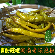 Hunan Sichuan Bubble Chilli Bubble Sea Pepper home Old Tan Chen Bubble Red Acid Pepper 2 Jingstrips Pepper Fish Cilantro Cilantro Cilantro