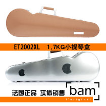 French Bam violin box with violin box Hightech ET2002XL 1 6 kg smoke color